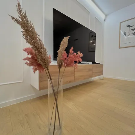 Apartment Premium Anemar