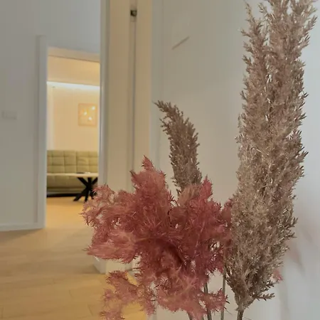 Appartement Premium Anemar *