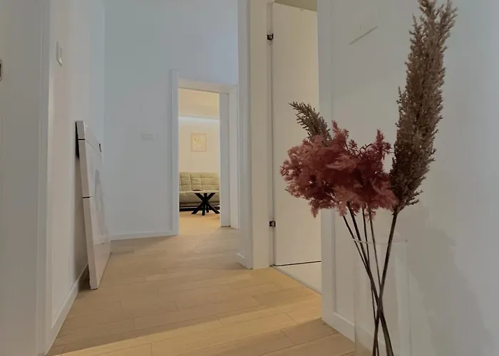 Premium Anemar Задар